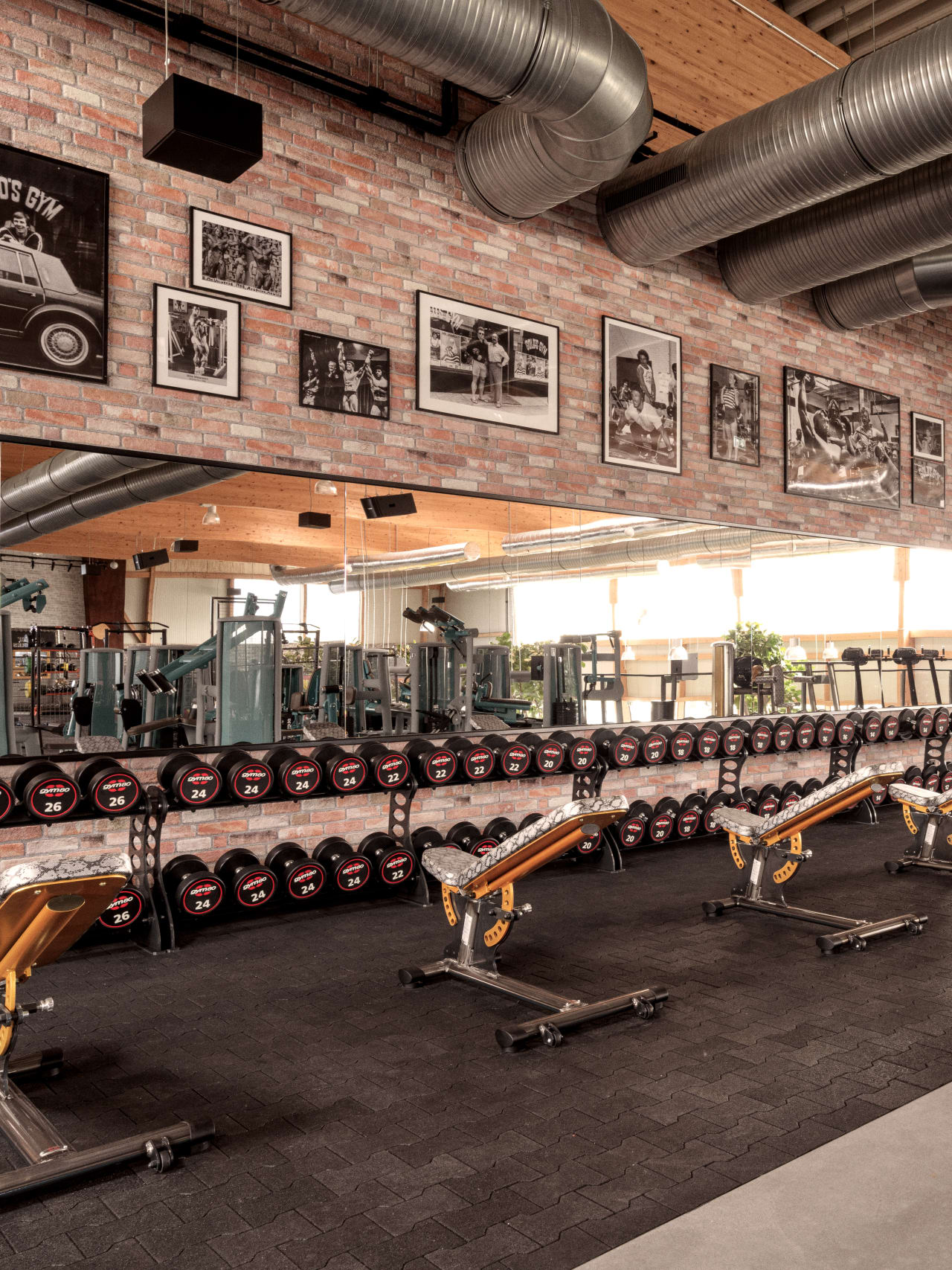 Hantelbänke und Kurzhanteln vor einer verspiegelten Wand und historischen Schwarz-Weiß-Aufnahmen im Gold's Gym Fitnessstudio