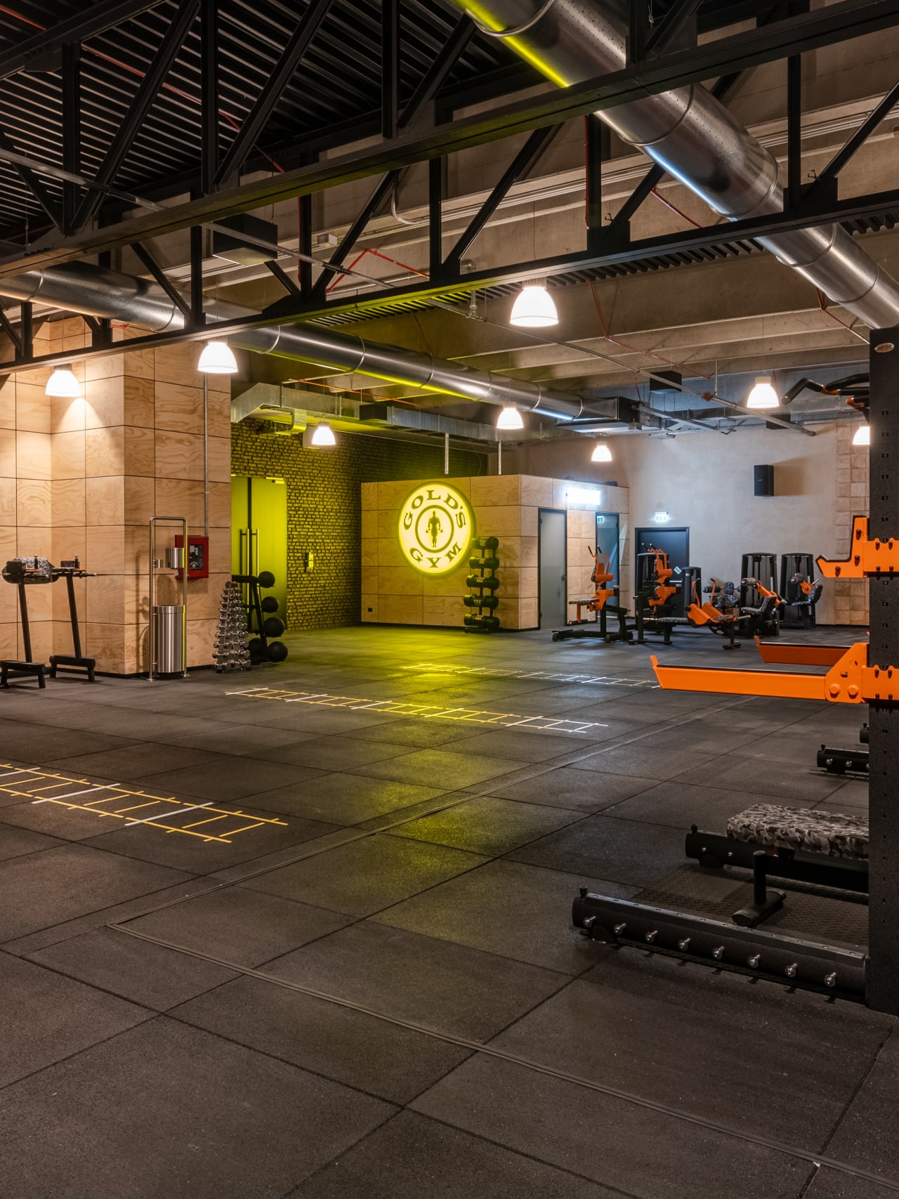 Area funzionale in Palestra Gold’s Gym