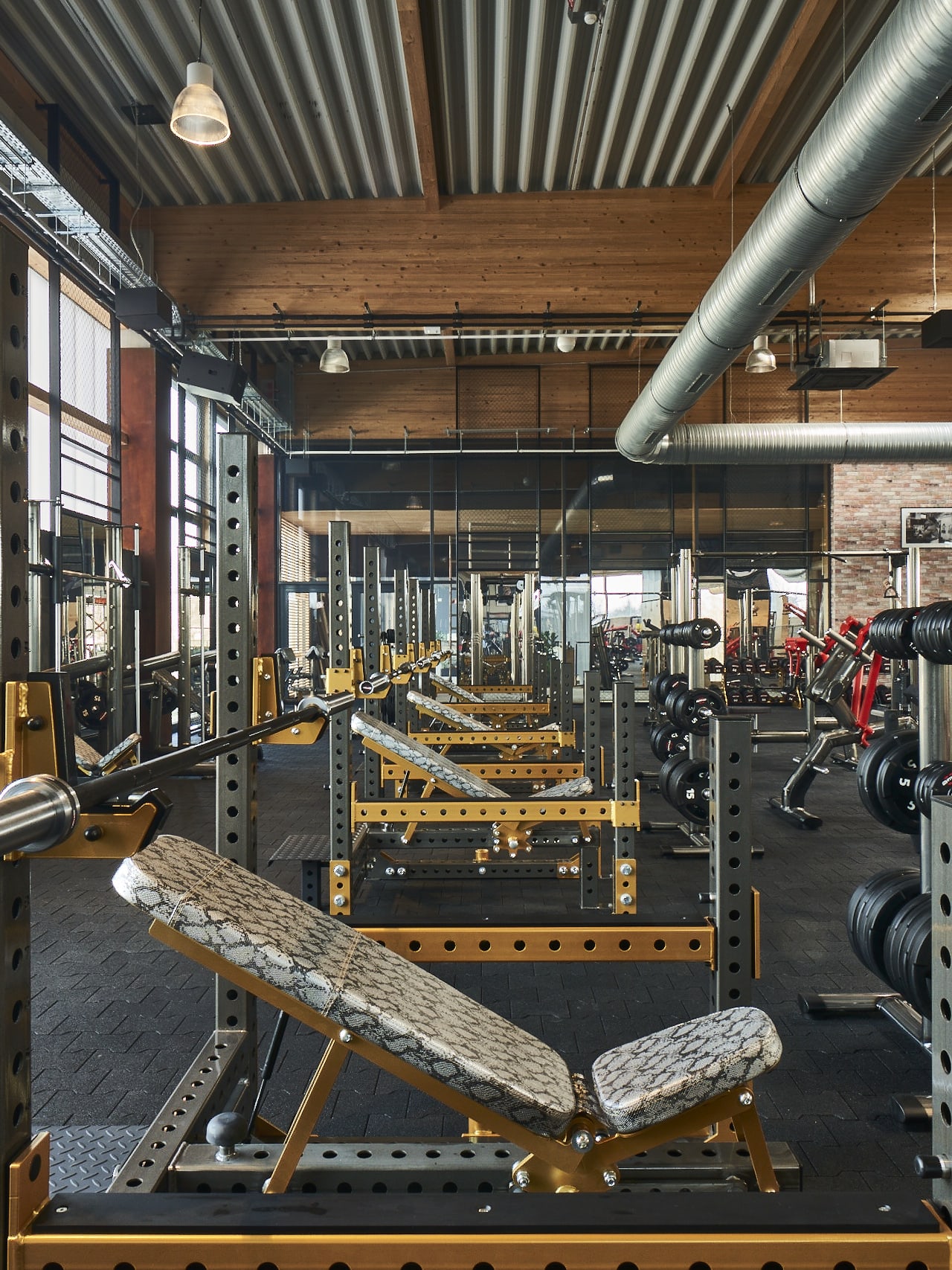 Hantelbänke, Langhantelstangen und Gewichte im Gold's Gym Fitnessstudio