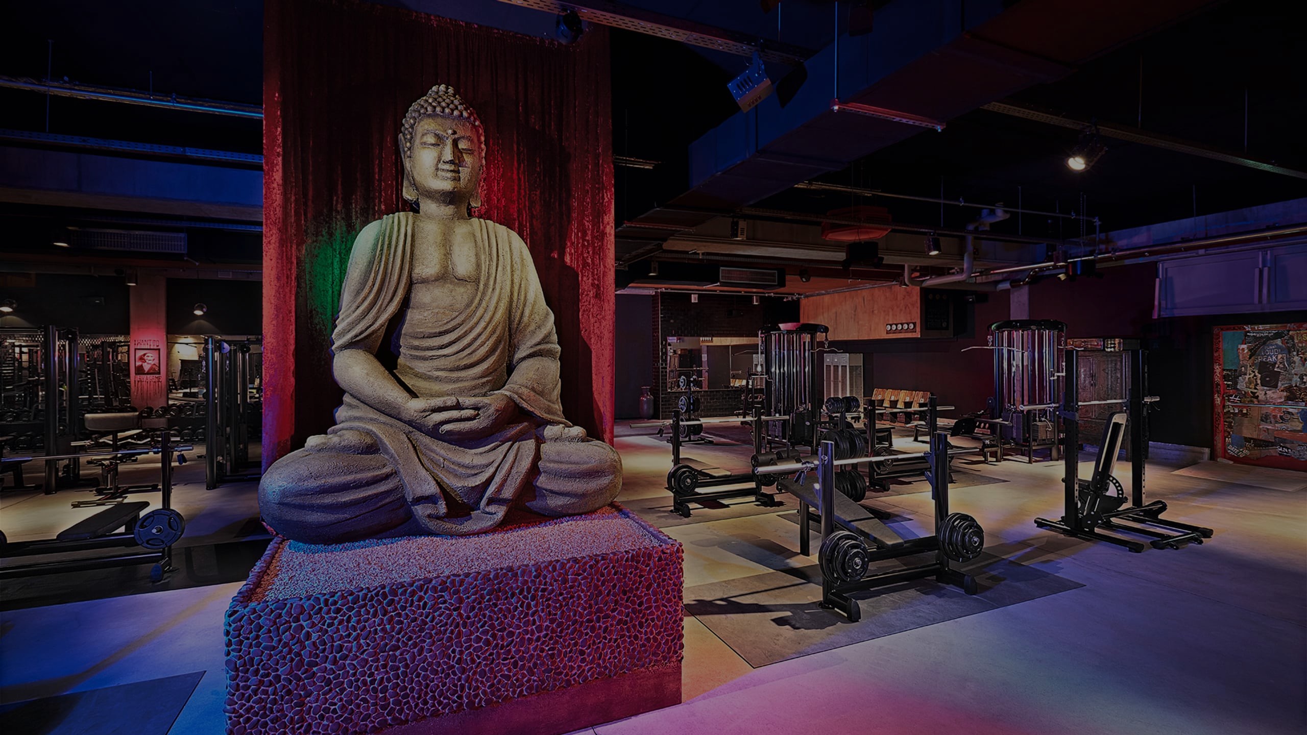 John Reed Fitness Fitnessstudio