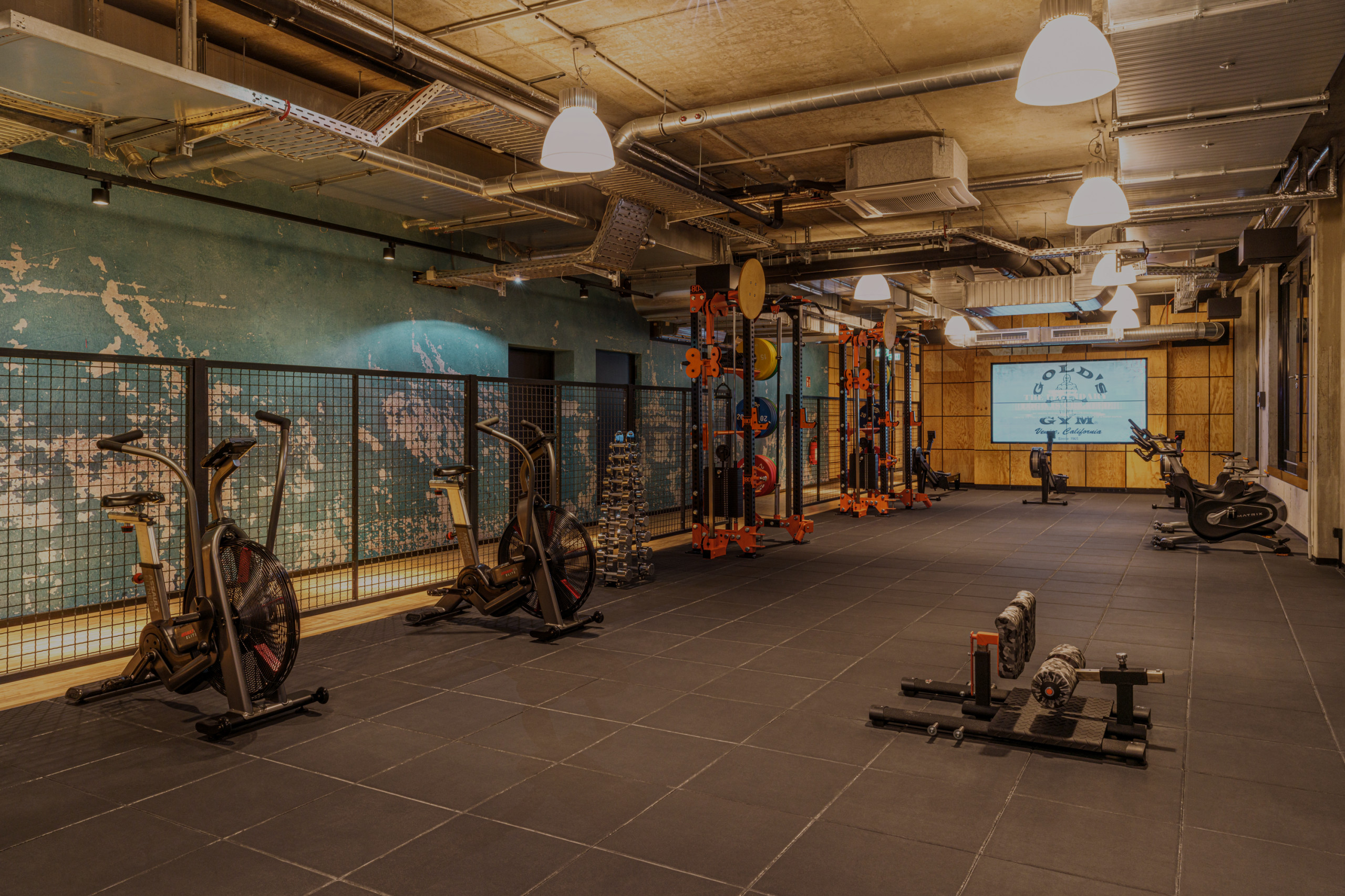 Functional Area im Gold's Gym Fitnessstudio München
