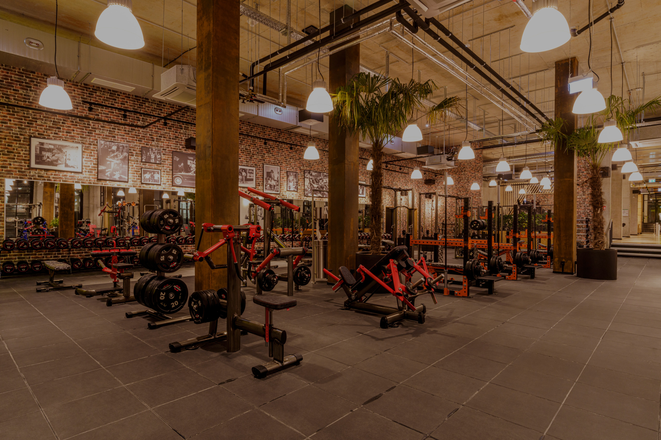 Trainingsgeräte, freie Gewichte und Hanteln im Gold's Gym Fitnessstudio München