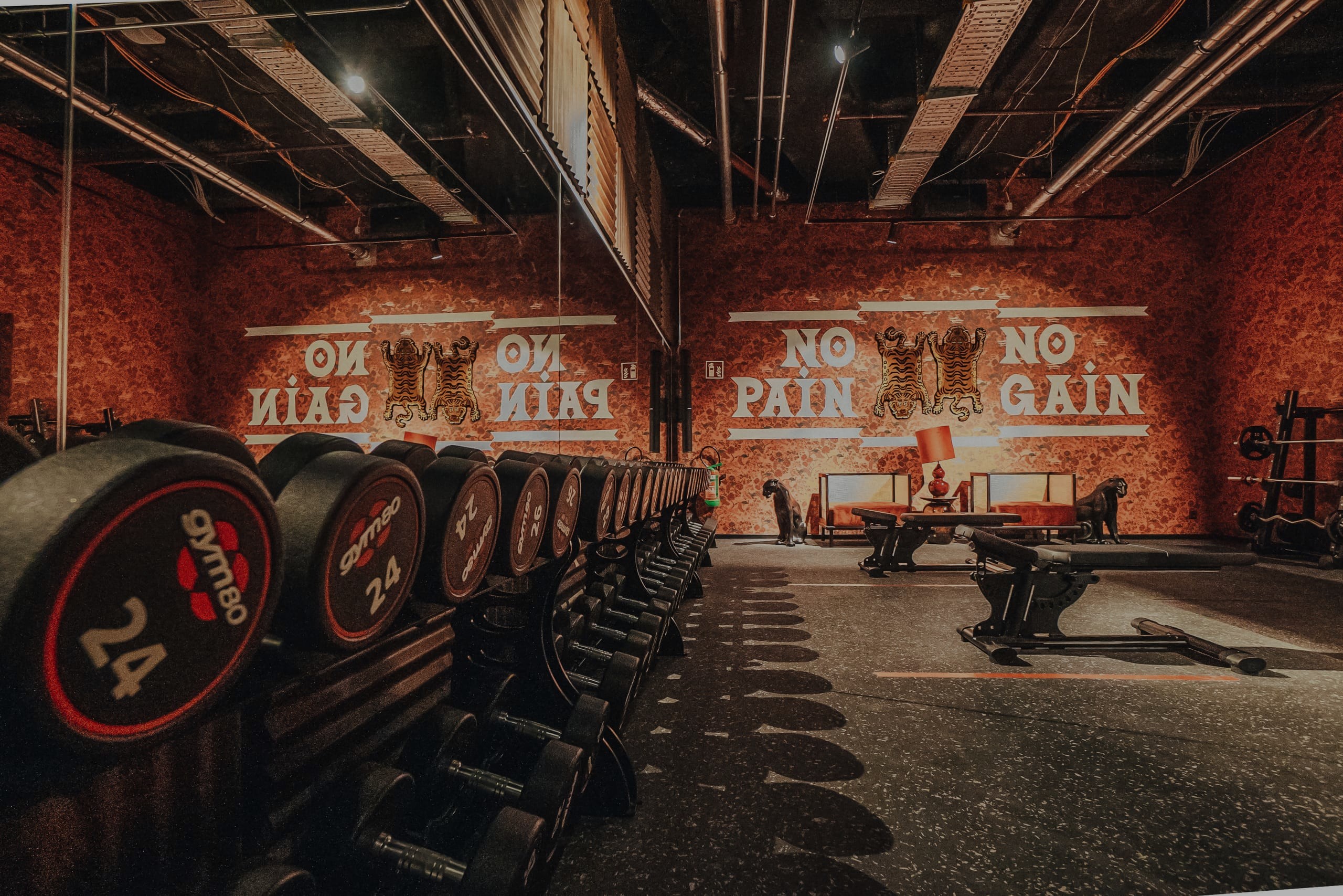 John Reed Fitnessstudio Freihantelbereich 