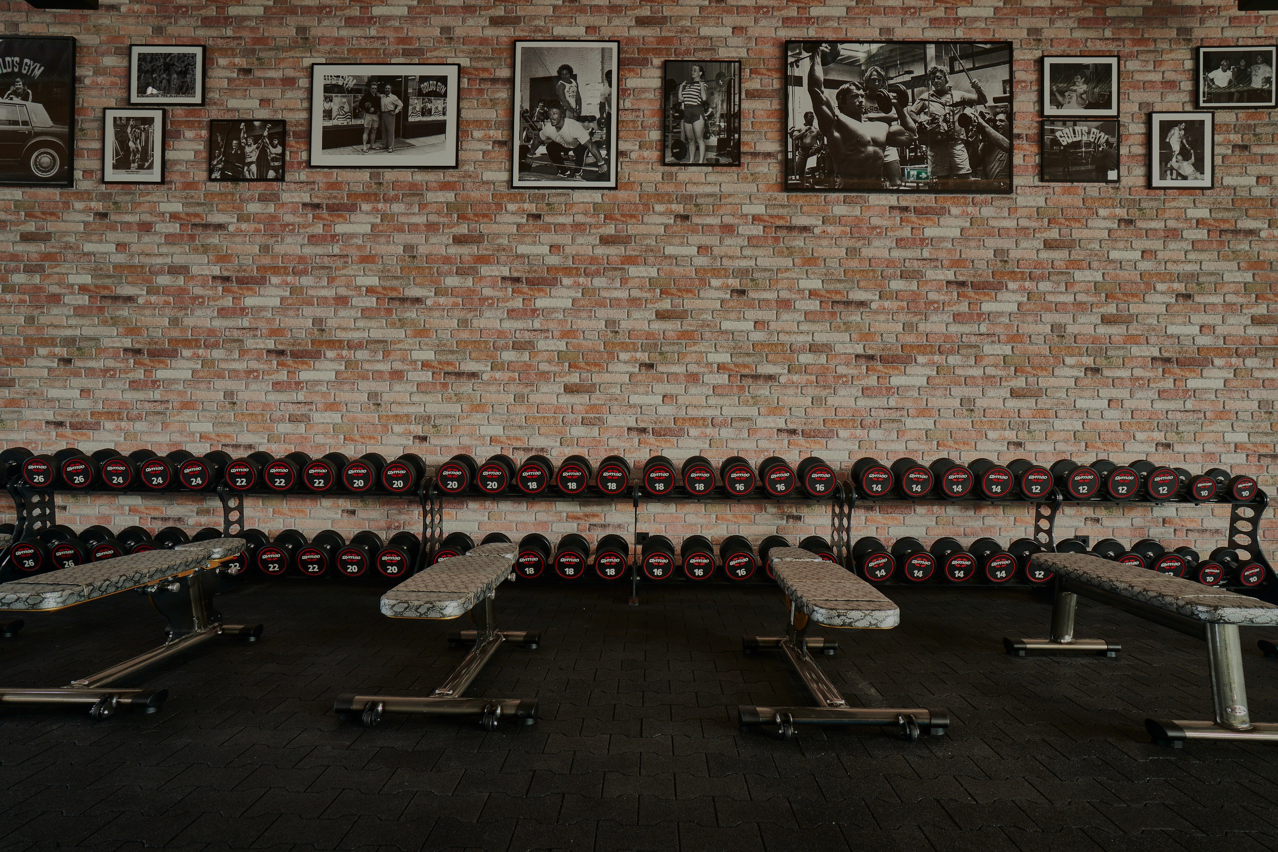 Wall of Legends at Gold's Gym