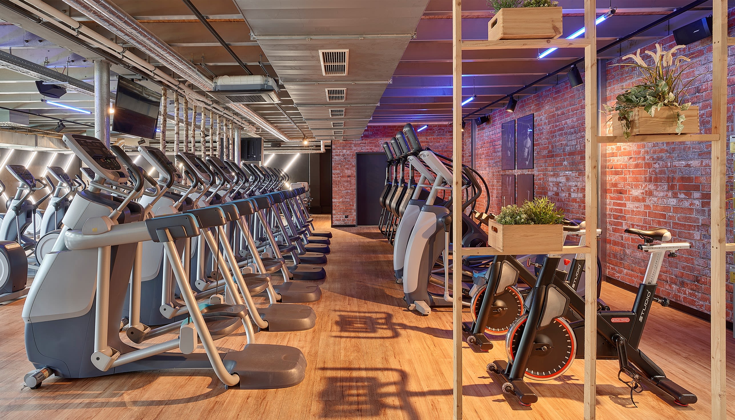 McFit - McFit -