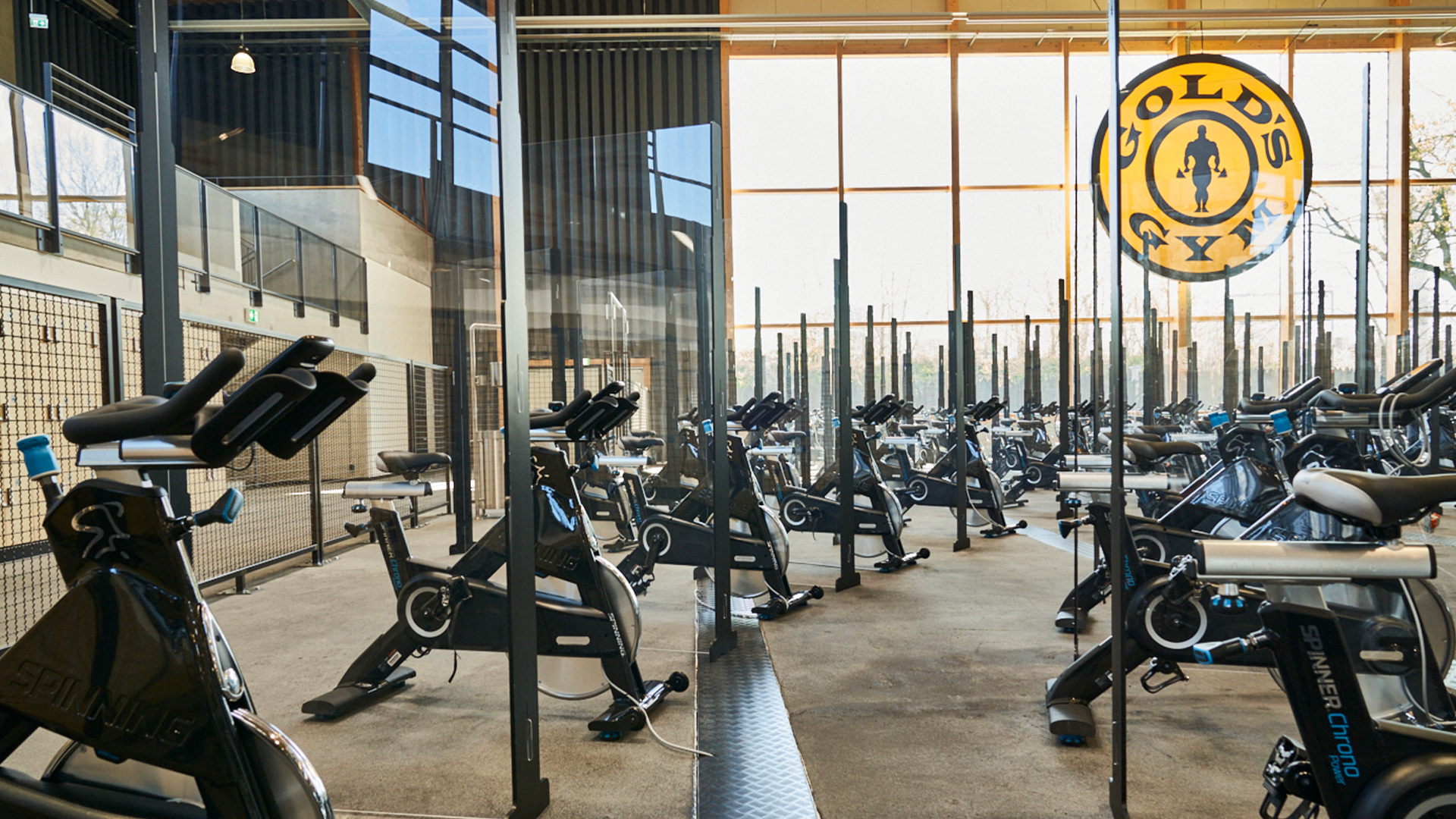 Green Sunday Gold S Gym Germany