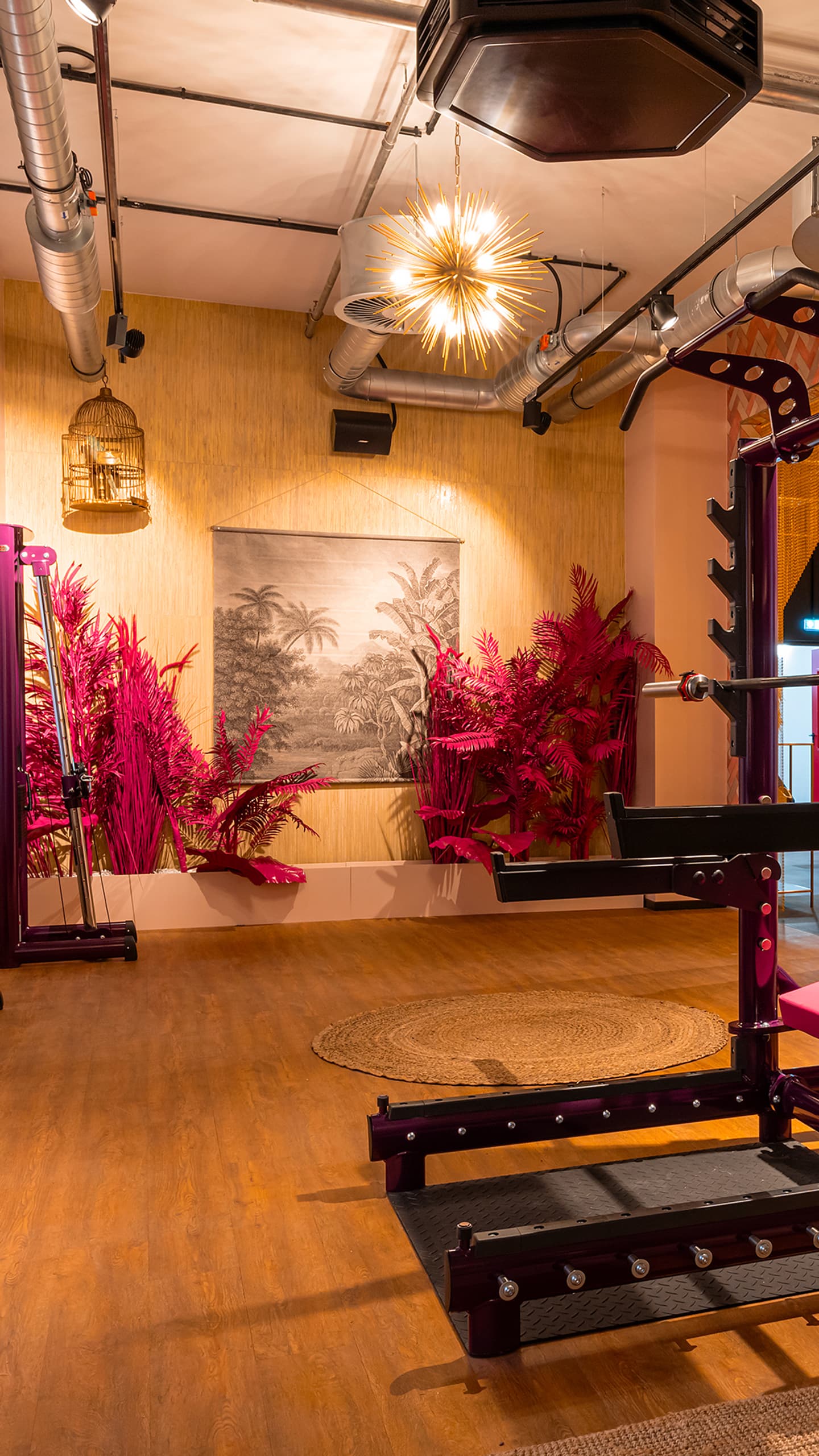 John Reed Fitness Wuppertal